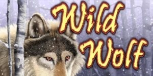 Wild Wolf Slot Machine Review