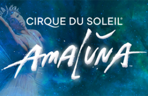 Cirque du Soleil Amaluna Slot Game