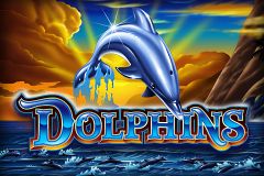 Play Dolphins Slot Machine by Ainsworth Online for Free or Real Money