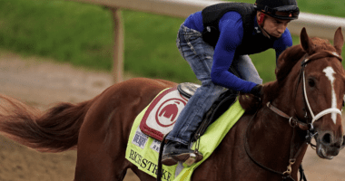 Rich Strike Goes Up While Kentucky Derby Betting Record Goes Down