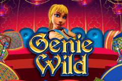 Play NextGen's Genie Wild Slot Machine Online for Free or Real Money