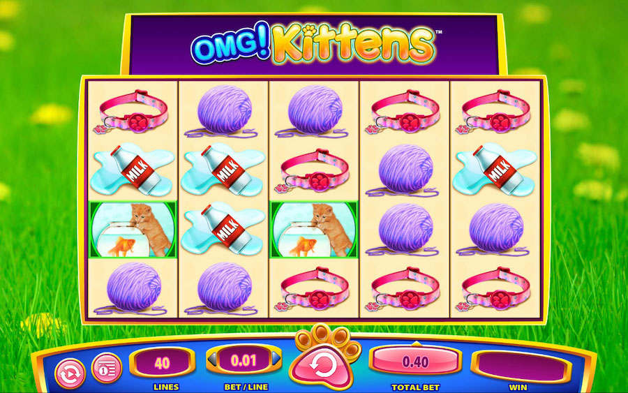 Free OMG Kittens Slot Game