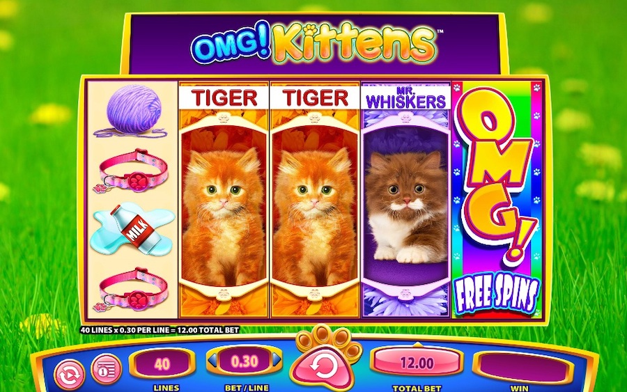 OMG Kittens Slot Free Spins